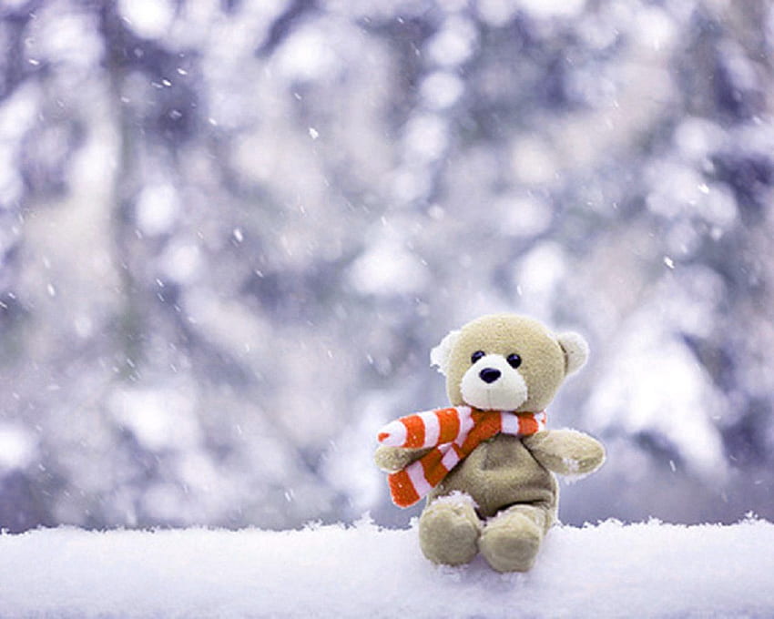 Christmas teddy bear and HD wallpapers | Pxfuel