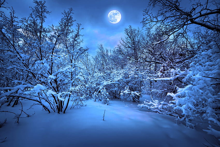 Fond de nuit d'hiver, neige magique Fond d'écran HD