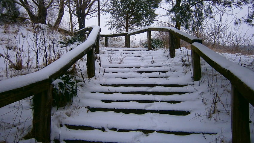 Snow stairs, wooden, winter, zima, beautiful, wonderful, croatia, hrvatsko zagorje, beauty, nice, stairs, hrvatska, snow, fantastic, trees, snijeg HD wallpaper