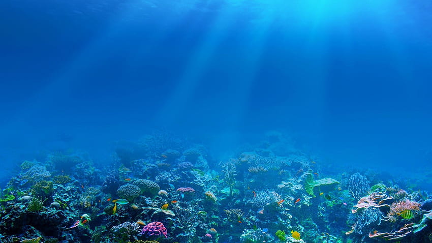 Unter Ozean, unter dem Meer HD-Hintergrundbild