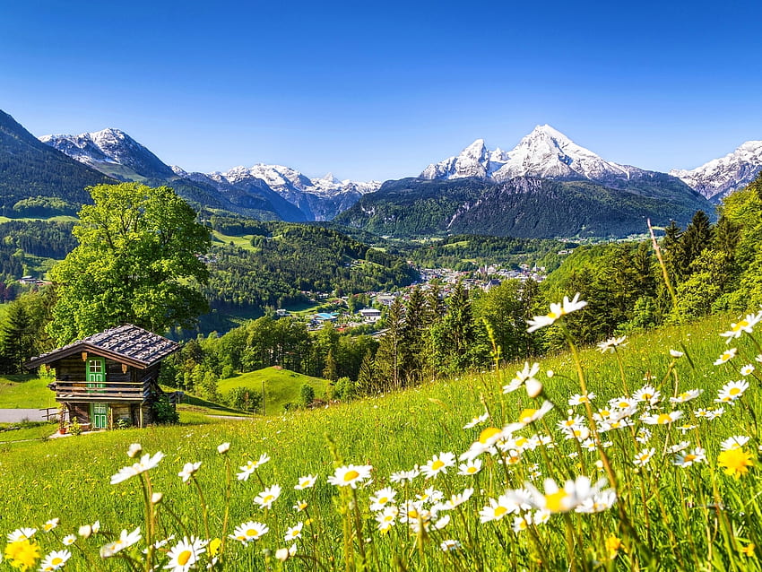 El pueblo en las montañas, Baviera, Alemania, flores silvestres, árboles, alemania, naturaleza, cabaña, montañas, pueblo fondo de pantalla