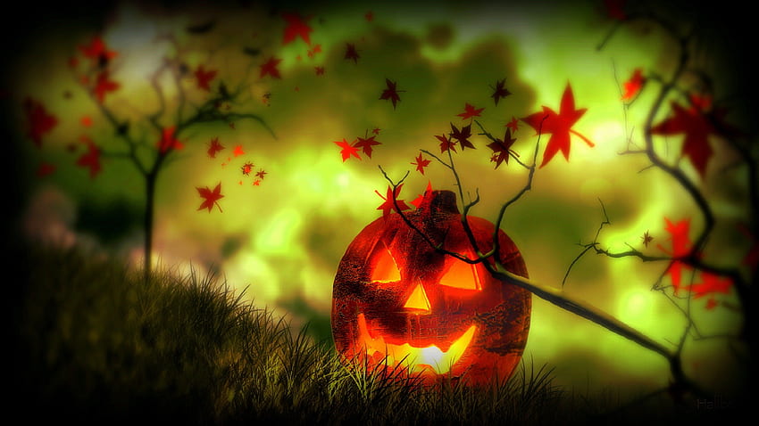 Lantern Jack in Autumn, macabre, plants, skull, digital art, halloween, holiday, trees, autumn, fall season, jack, backgrounds, creative pre-made, leaves, manipulation, horror, nature, lantern HD wallpaper