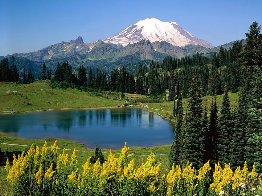 Природа, цветя, дървета, планини, връх, връх, езеро, алпи, ливада HD тапет