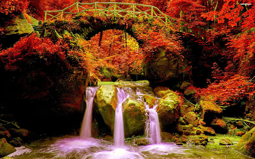 Autumn, Fall Waterfall HD wallpaper | Pxfuel