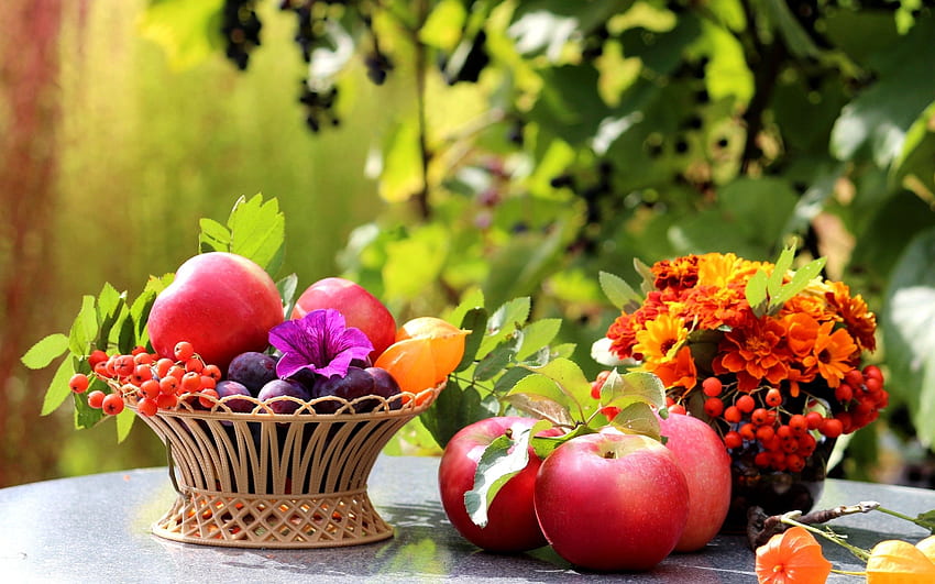 Fruit Background, Fruits and Vegetables HD wallpaper