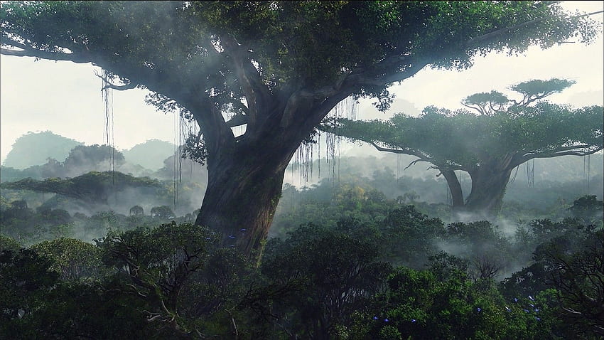 アバター グループ 1920×1080 アバター 1920×1080 (44 ). 愛らしい 。 Avatar tree, Avatar movie, Fantasy tree 高画質の壁紙