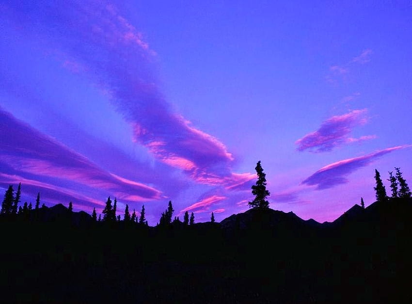 Denali sky, azul, rosa, silhuetas, céu, linha de árvores, noite, denali park papel de parede HD