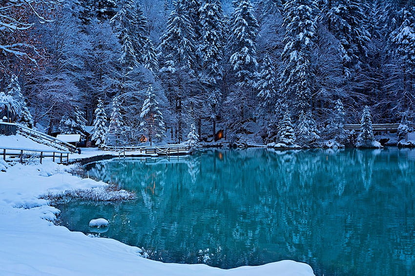 スイス カンデル渓谷 冬のトウヒ 自然、冬の湖 高画質の壁紙
