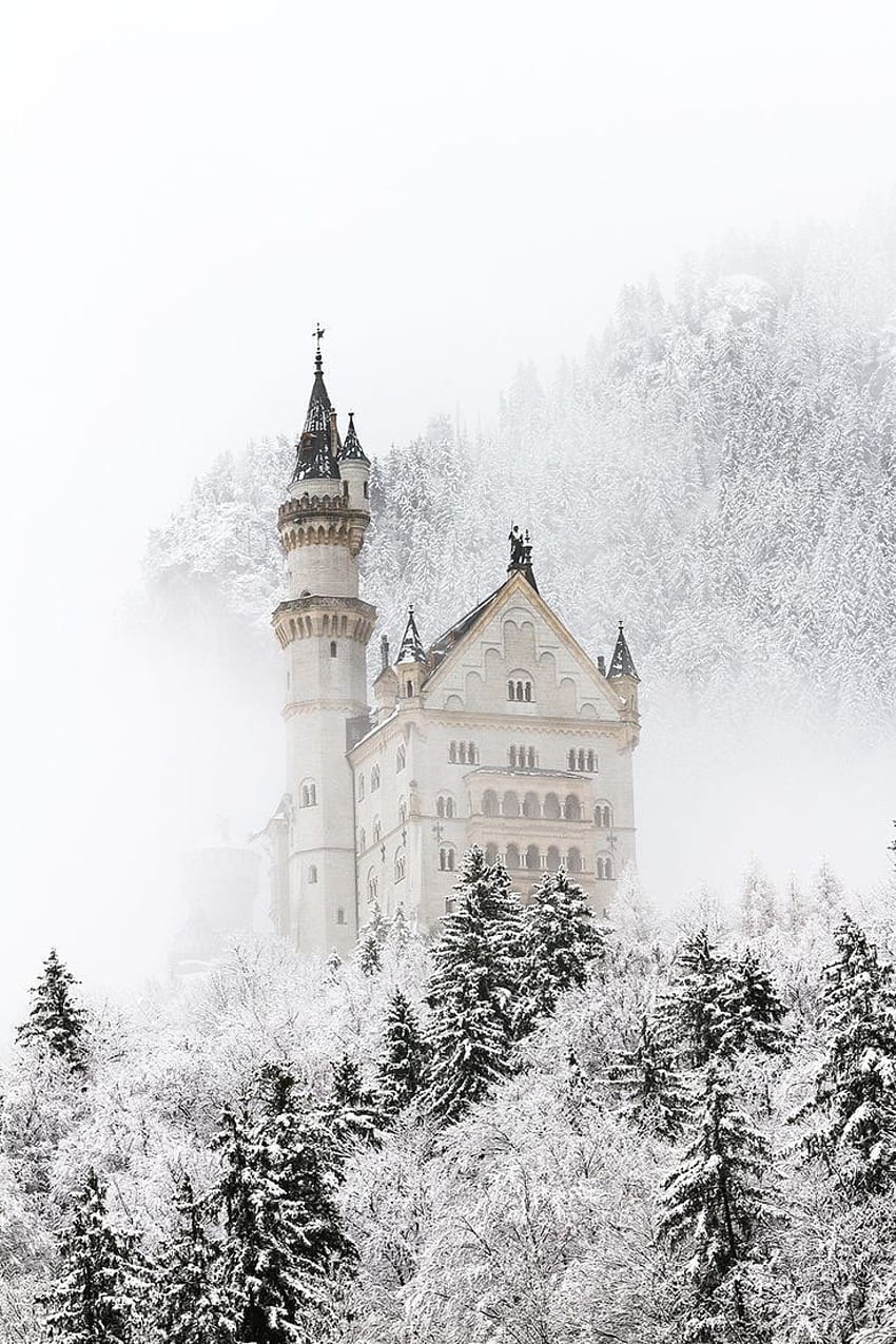 Castles Winter , Castle Black and White HD phone wallpaper