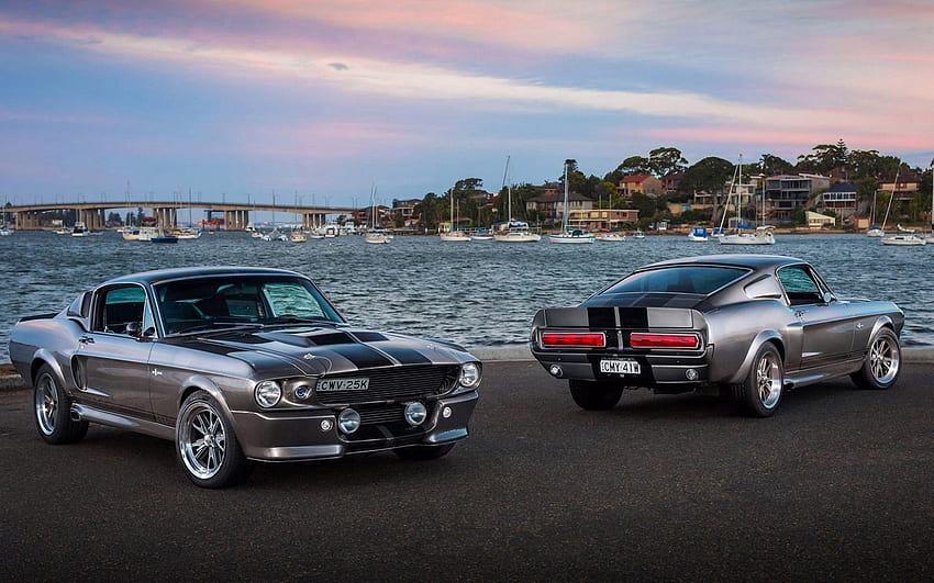 Mustang, Sea, Ford, Cars, Silver, Silvery HD wallpaper