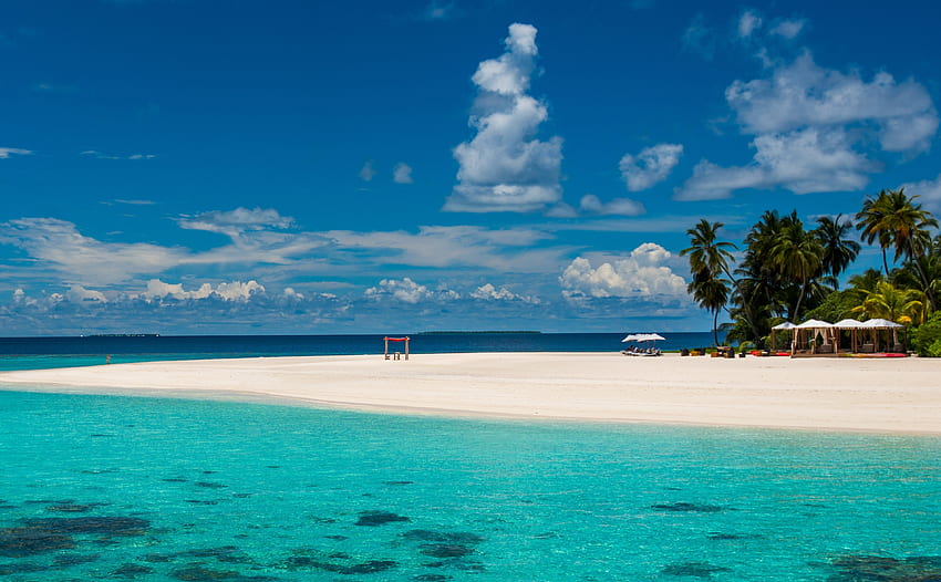 Naturaleza, Playa, Palmeras, Zona intertropical, Centro turístico, Maldivas fondo de pantalla