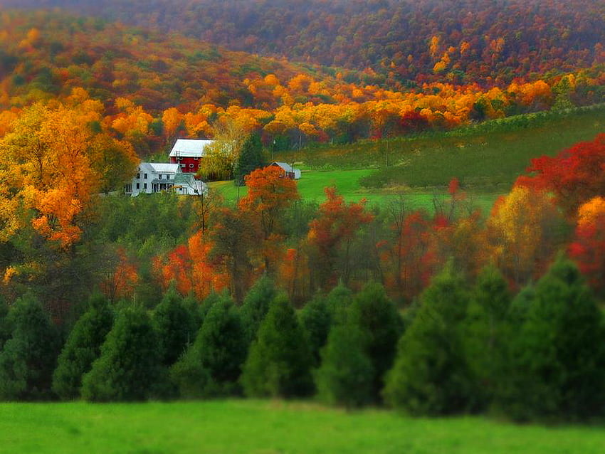 Wine country, green, house, fall, trees, autumn, country, wine, mountain HD wallpaper