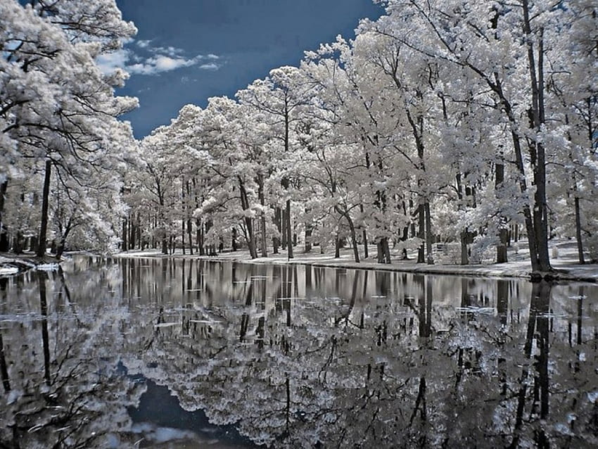 Alberi invernali, bellissimo paesaggio innevato, lago, neve Sfondo HD