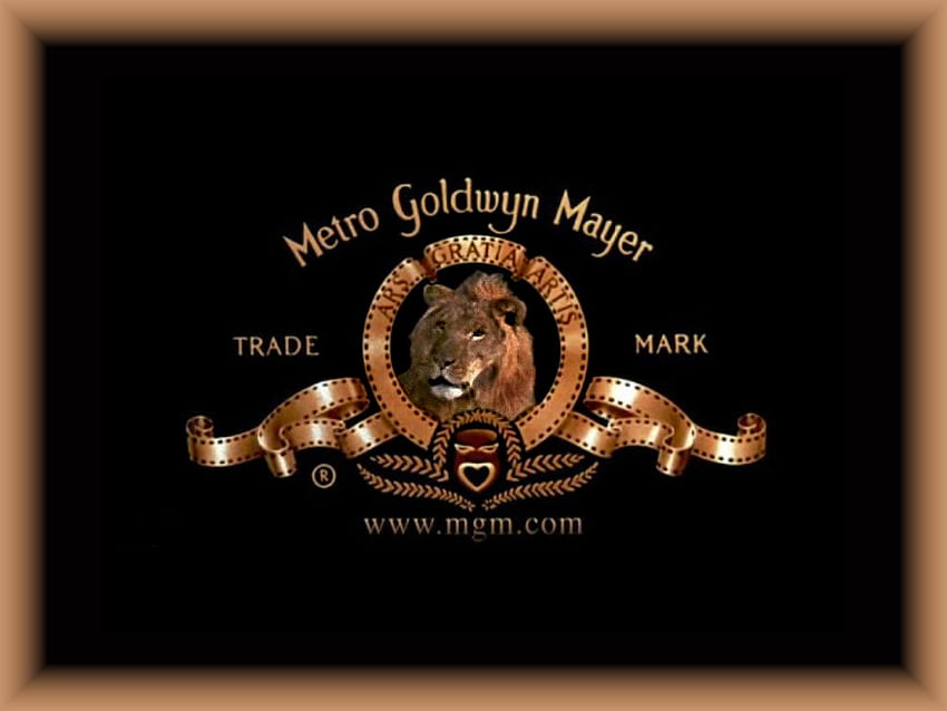 Produzione MGM, inizio, film, vecchia scuola, leone, produzione Sfondo HD