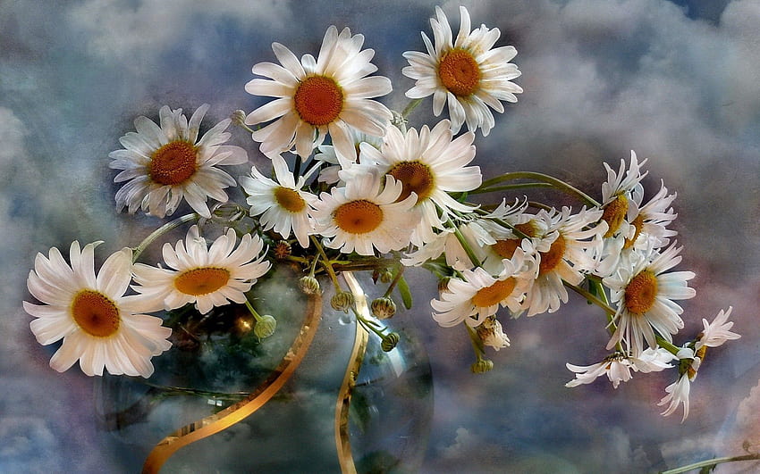 Blumen, Hintergrund, Himmel, Wolken, Kamille, Blumenstrauß, Vase HD-Hintergrundbild