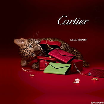 Cartier HD wallpapers Pxfuel