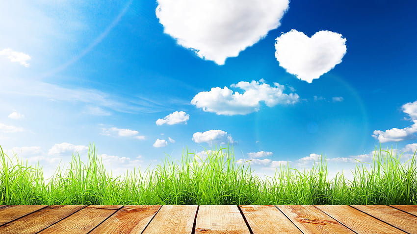 Yaz, mavi gökyüzü, aşk kalp bulutları, çimen, tahta U HD duvar kağıdı