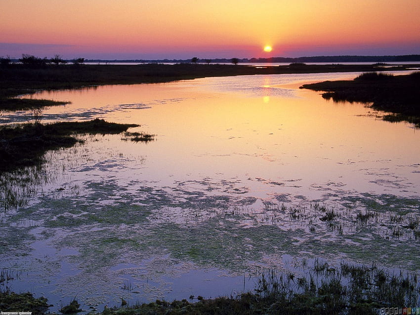 Matahari terbenam Marshlands, pulau assateague, maryland, Pemandangan Maryland Wallpaper HD