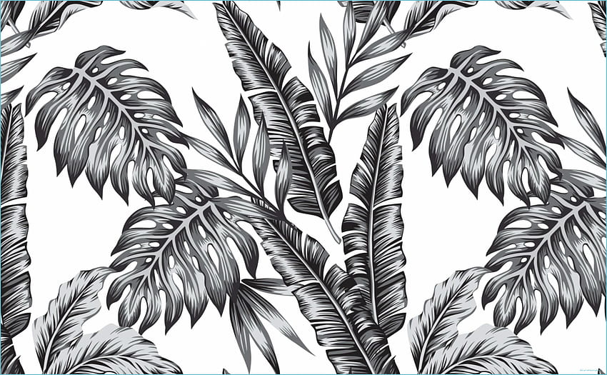 Liście Palmowe Tropikalne Na Ściany Retro Palmy Czarno - Czarno-biały Tropikalny, Minimalistyczny Tropikalny Tapeta HD