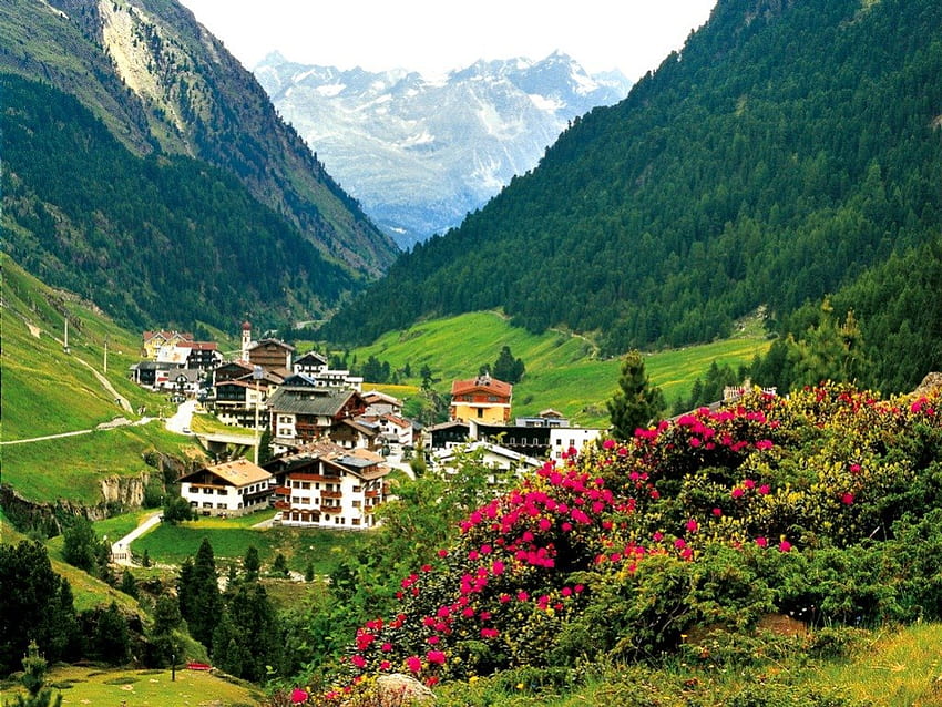 Feriado na Áustria, picos, tranquilo, casas, Áustria, bom, feriado, vegetação, calma, colinas, europa, declive, linda, montanha, verão, descanso, bonito, verde, vista, natureza, céu, flores, adorável, vila, interior papel de parede HD
