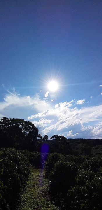 Lua, estrela, Moon, espaço, constelações, magia, azul, universo, Céu