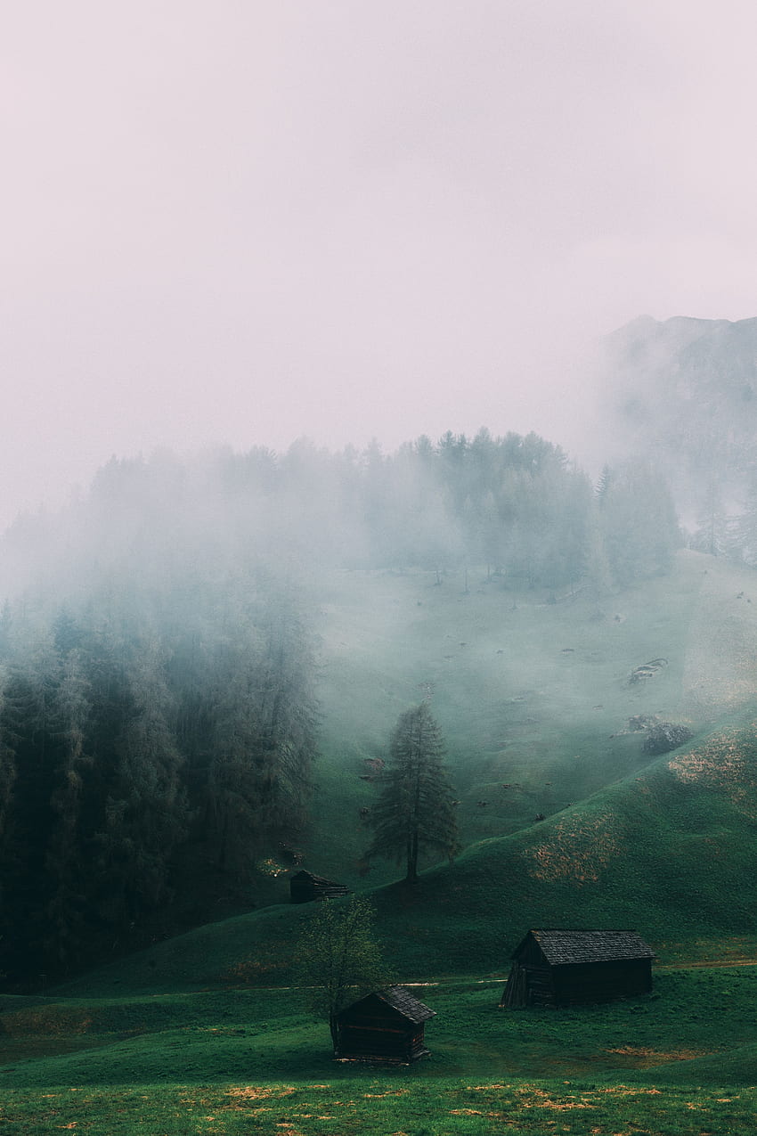 Nature, Italy, Fog, Field, Dolomites, Ladinia HD phone wallpaper