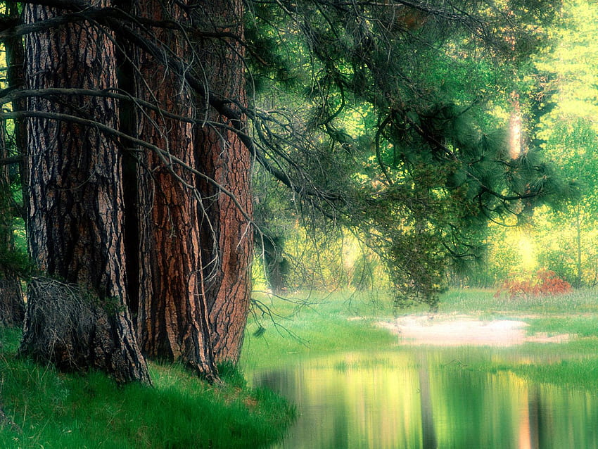 Cuda Stanów Zjednoczonych. Piękno: Park Narodowy Yosemite, Stany Zjednoczone Krajy Tapeta HD