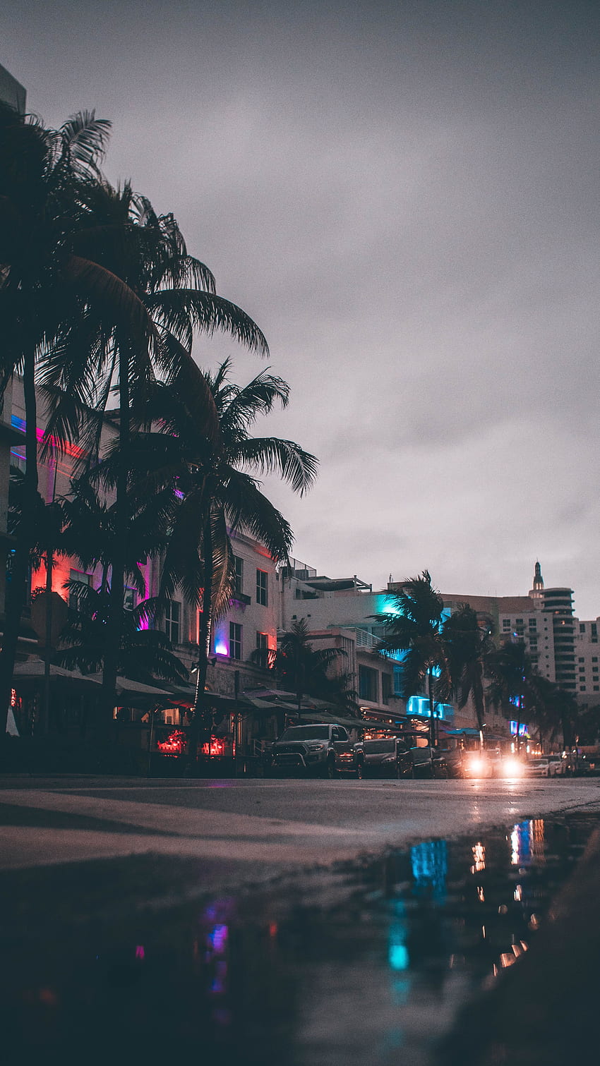 Miami, Städte, Auto, Palmen, USA, Gebäude, Vereinigte Staaten, Städtische Straße HD-Handy-Hintergrundbild
