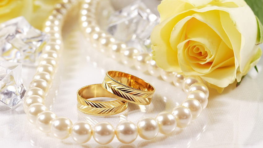 Wedding rings and yellow rose HD wallpaper