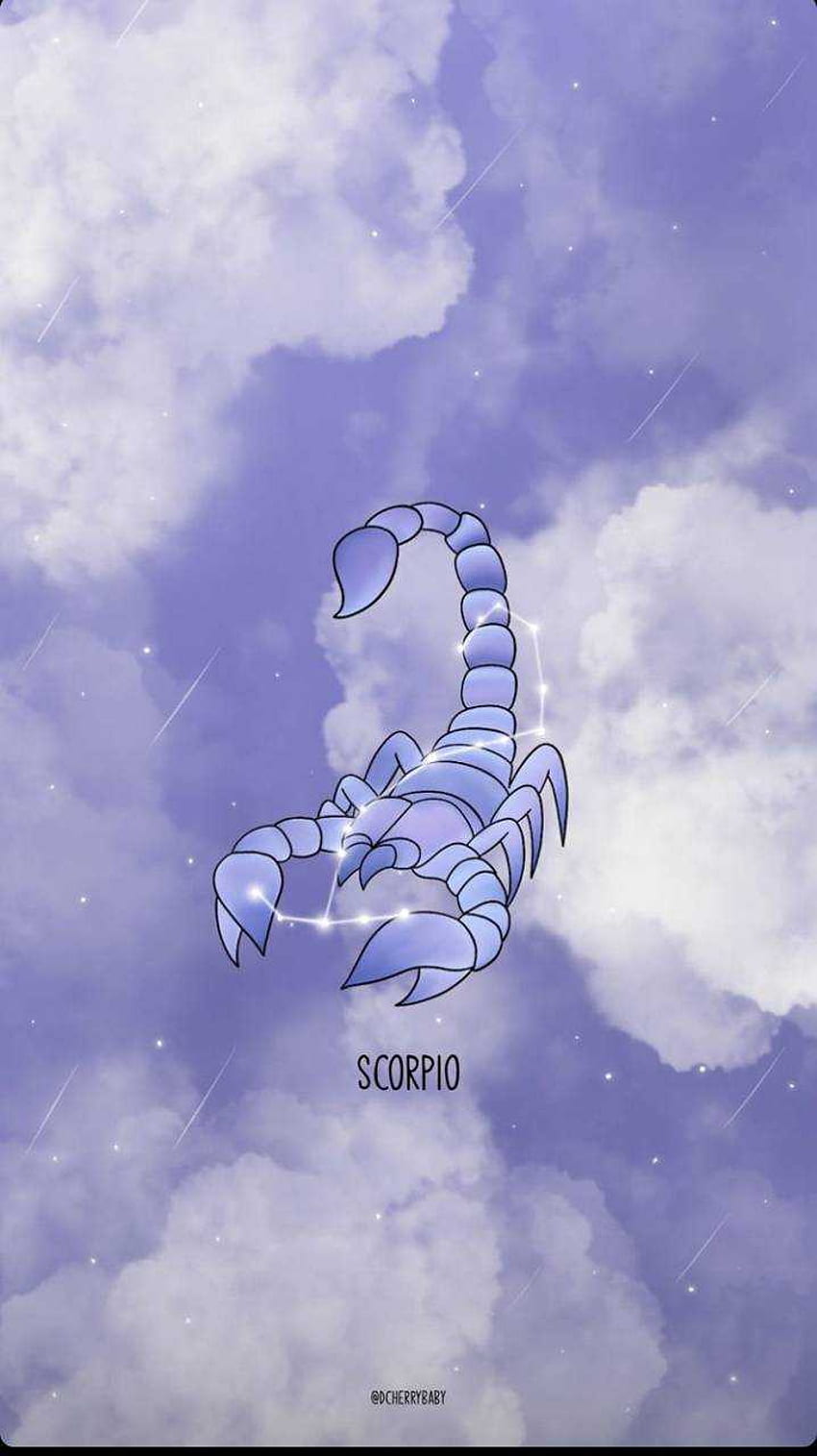 Jo on X iPhone wallpaper Im a Scorpio kind of mood Scorpio  scorpiogirl Scorpion wallpaper aesthetic aestheticmood blue  httpstcoZKyA5iwSoV  X