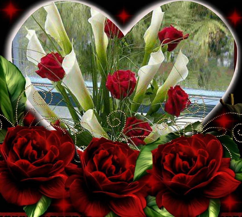 Facebook. Beautiful roses, Flowers, Beautiful flowers, Hearts and Flowers HD wallpaper