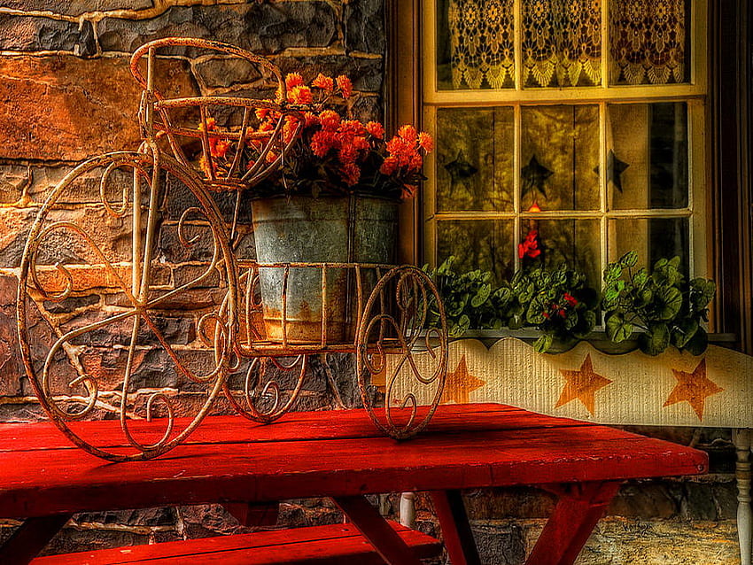 Rustic beauty, roses, window, house, peaceful, country, rustic, beauty, red, flowers HD wallpaper