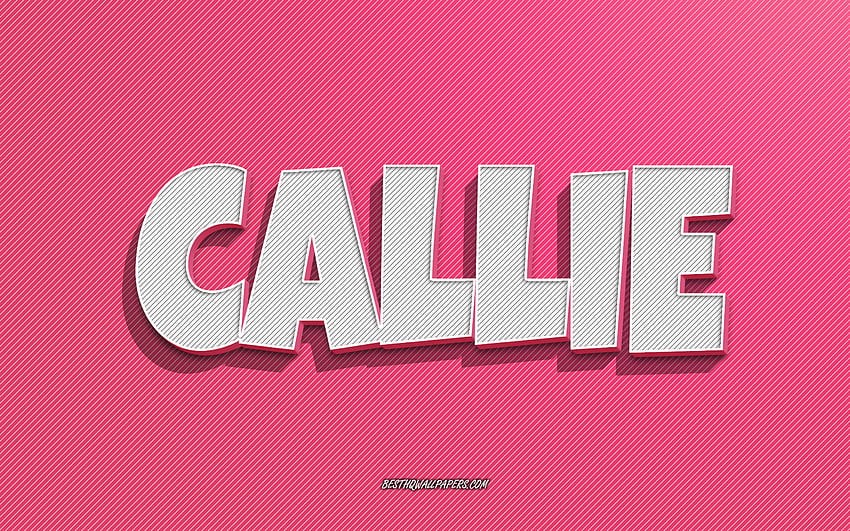 Callie, pink lines background, with names, Callie name, female names, Callie greeting card, line art, with Callie name HD wallpaper