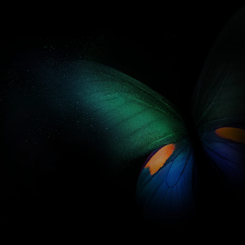 Samsung Galaxy Fold, Butterfly, Green, Blue, Black background, Dark, Others,. for iPhone, Android, Mobile and HD phone wallpaper