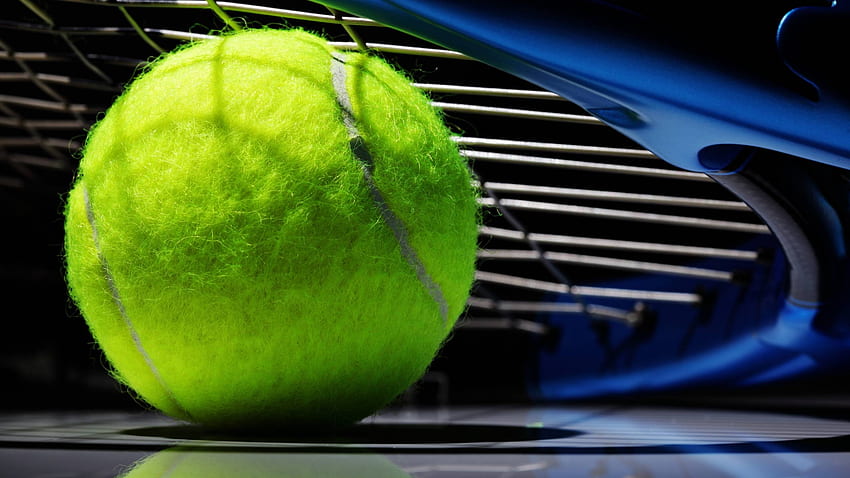 tennis, ball, bat 1440P Resolution , Sports , , and Background, Tennis Quotes HD wallpaper