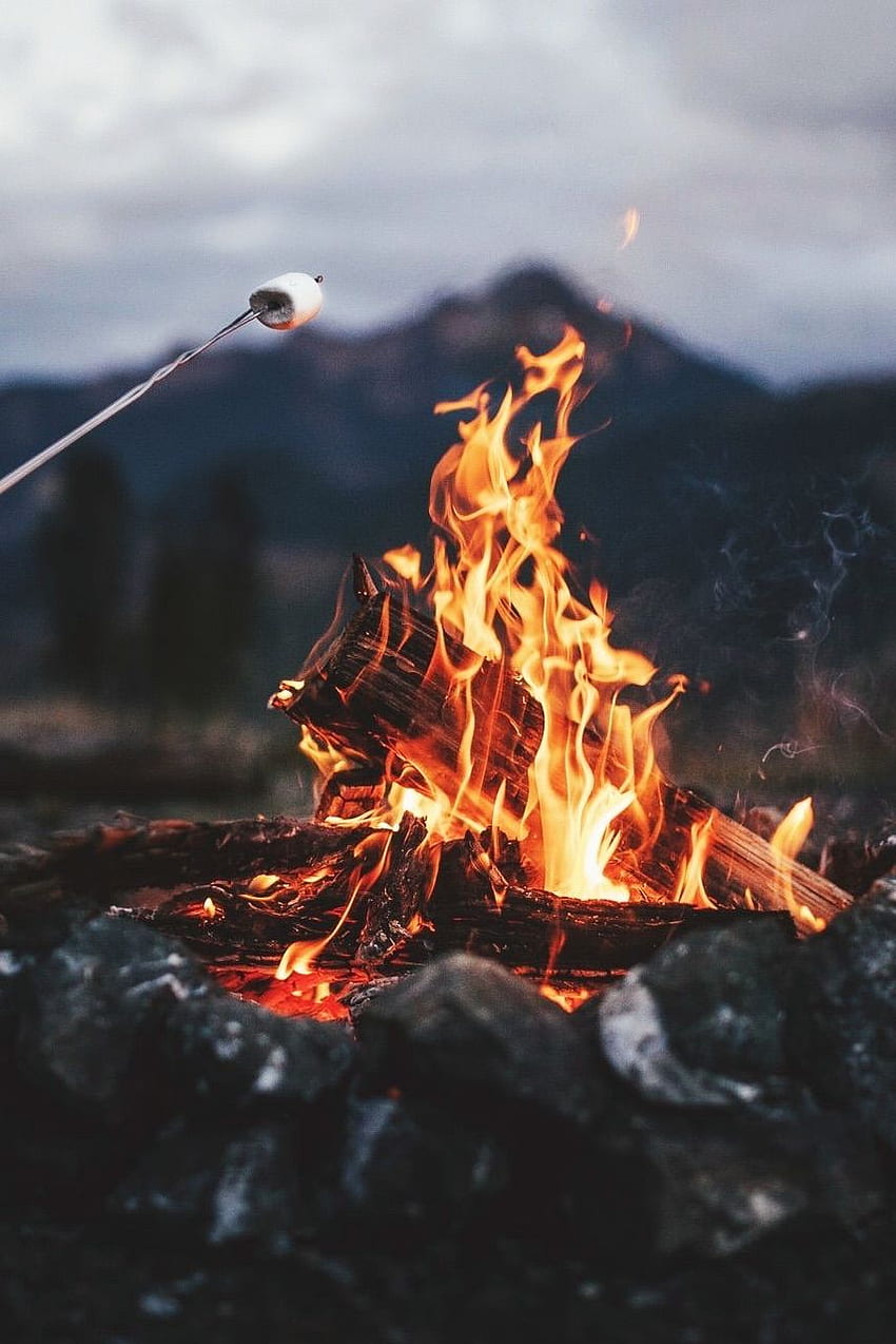 marshmallow, bonfire and -, Fall Bonfire HD phone wallpaper
