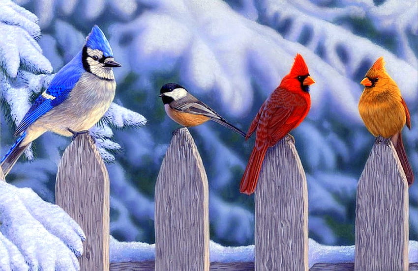 Burung Musim Dingin, musim dingin, liburan, burung, liburan musim dingin, lukisan, cinta empat musim, hewan, salju, pagar, kardinal Wallpaper HD