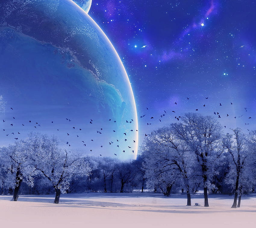 Вълшебна гора, синьо, зима, птици, звезди, планета, луна, сняг, облаци, дървета HD тапет