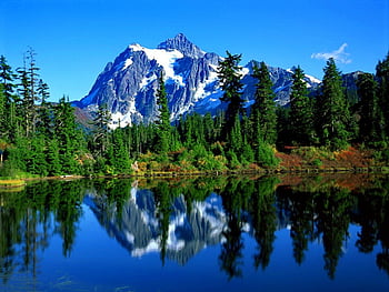 Clear waters, river, crystal, nice, shore, reflection, trees, greenery ...