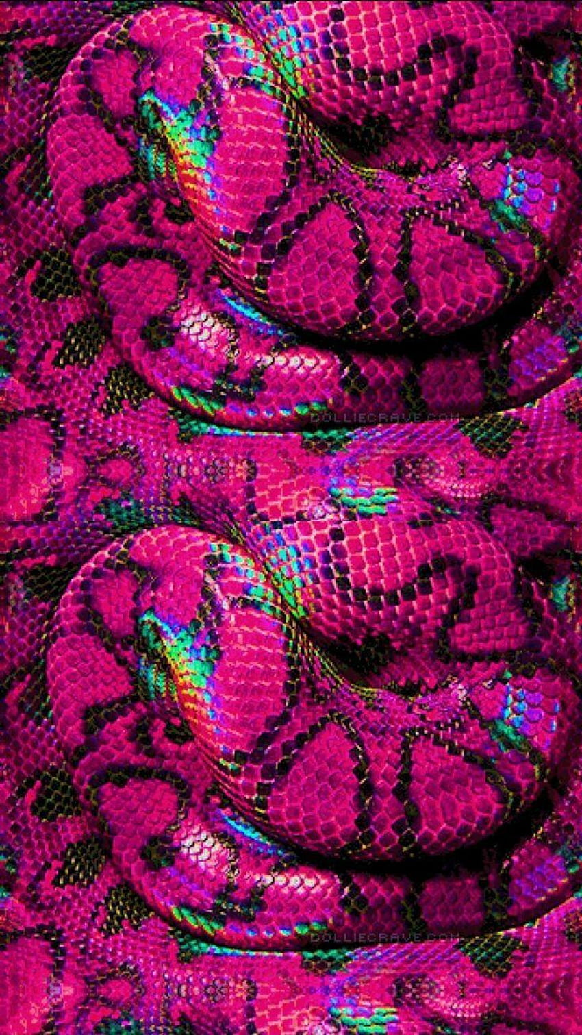 Snake Tumblr, Rose Snake HD phone wallpaper