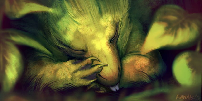 Animal Sleeping fantasy dragon . HD wallpaper