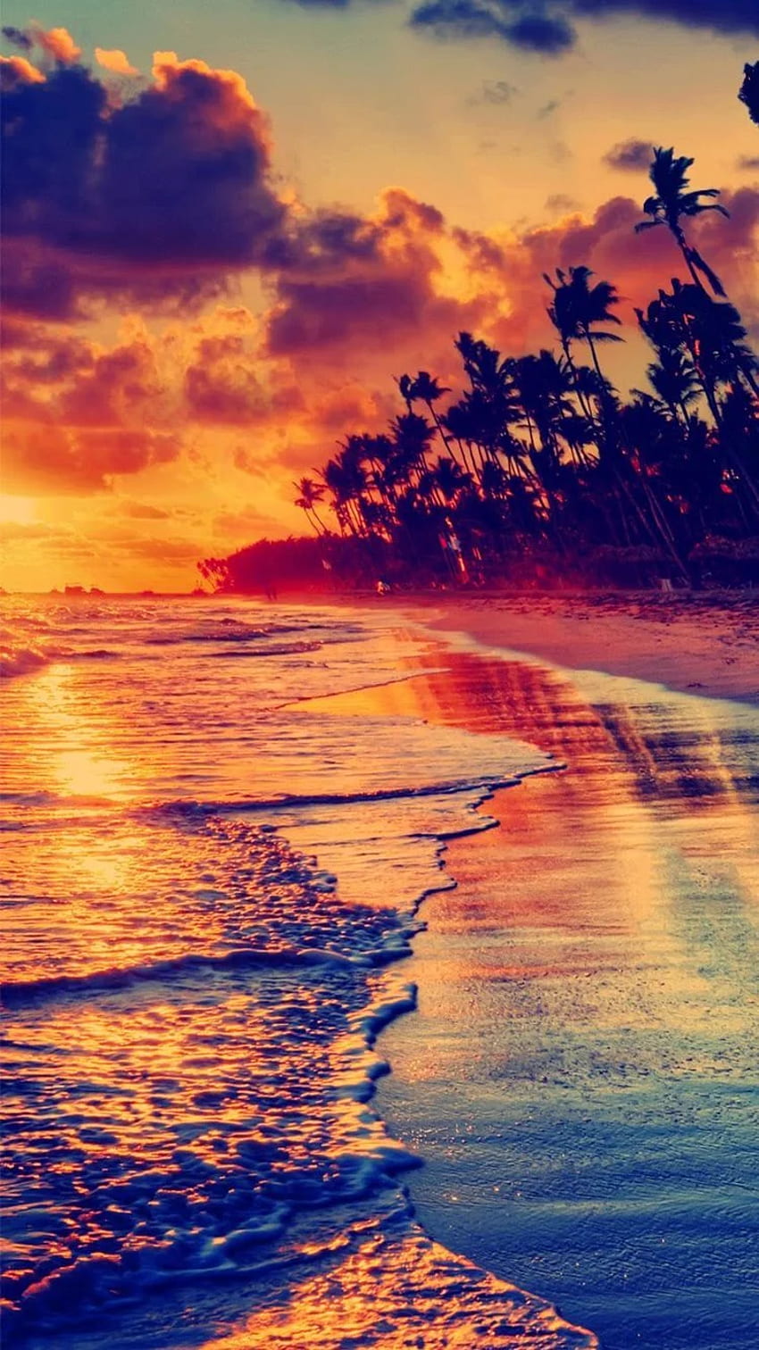 Tropical Beach Sunset iPhone - , Tropical Beach Sunset iPhone en Bat, Beach Sunrise iPhone fondo de pantalla del teléfono