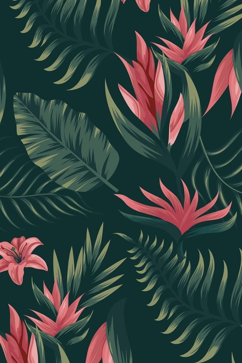 K Hawaii For - Znajdź najlepsze K Hawaii na Getw. Tropikalny, telefon w tle, roślina, czerwony hawajski nadruk Tapeta na telefon HD