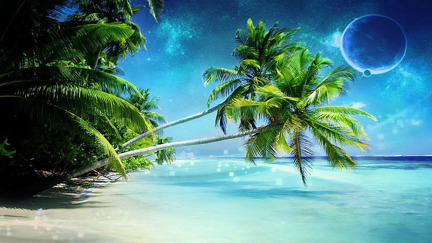 Palm Tree On Paradise Beach - Most Beautiful Nature Of Indonesia, Beach ...