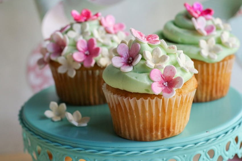 Frühlings-Cupcakes, Pastell, süß, Weichheit, Grafik, schön, Frühling, Essen, Blume, Cupcake, schön HD-Hintergrundbild