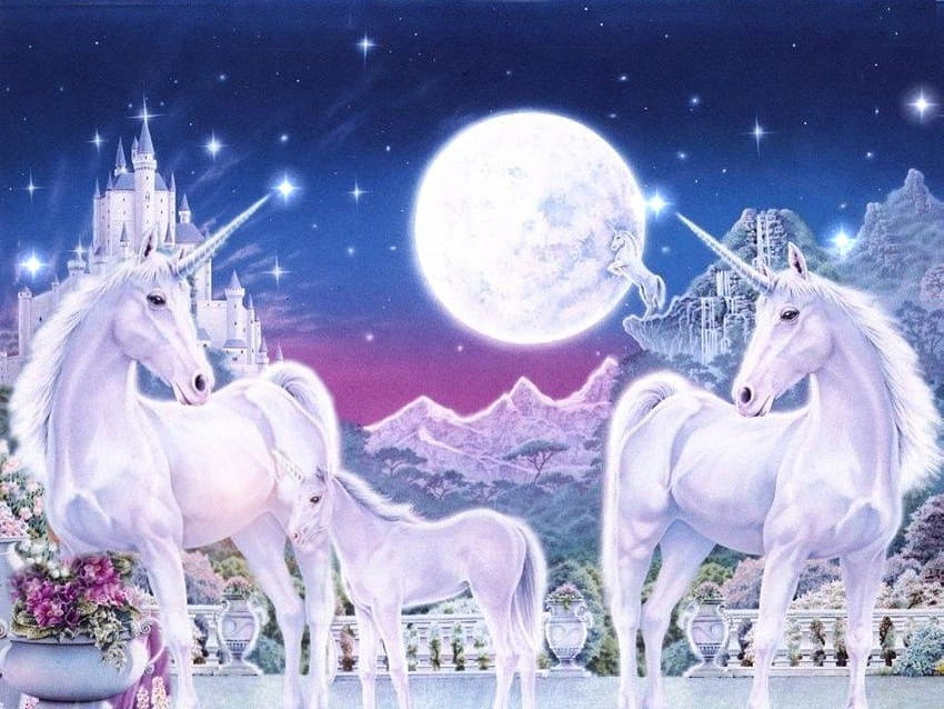 Magical Creatures Magical Unicorns, Mystical Unicorn HD wallpaper