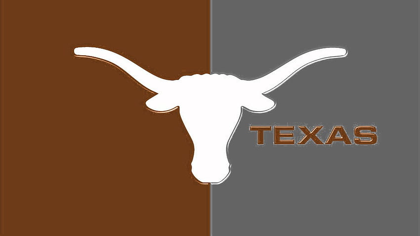 Texas Longhorn HD wallpaper | Pxfuel