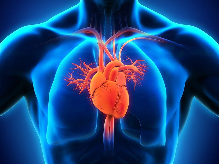 ภูมิหลังของโรคหัวใจ โรคหัวใจ, ปั๊มหัวใจและโรคหัวใจตลก วอลล์เปเปอร์ HD