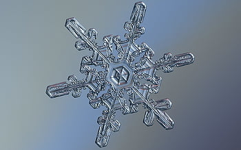 Real snowflake HD wallpapers | Pxfuel