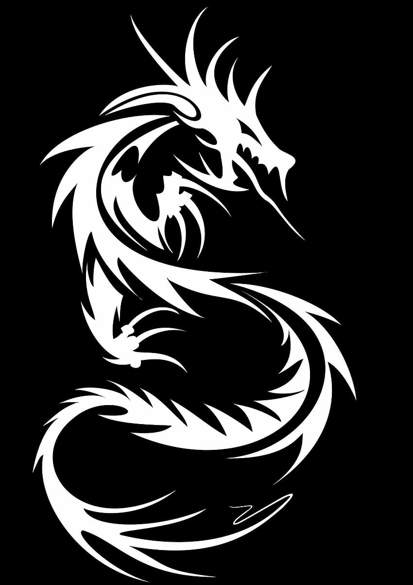 Black Dragon Tribal , Black and White Tribal HD phone wallpaper